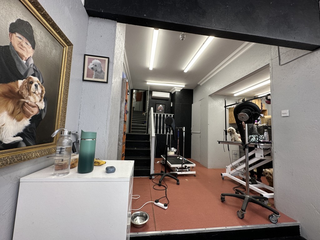 Lot: 79 - MIXED FREEHOLD RESIDENTIAL AND COMMERCIAL INVESTMENT - Internal of 55 Kings Road Commercial - Ground Floor